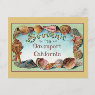 Davenport California Seashells Vintage Travel  Postkarte