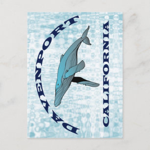 Davenport California Whale Postcard Postkarte