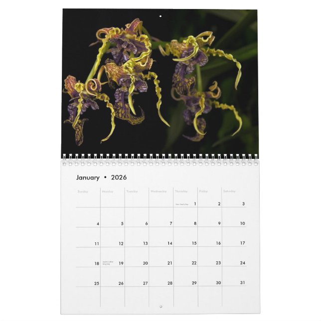 Daves Kalender Garten-2013 (Jan 2026)