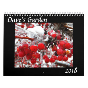 Daves Kalender Garten-2018