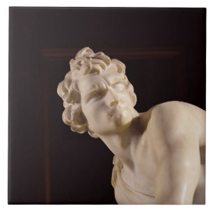 David, 1623-24 (Marmor) (Detail) Fliese