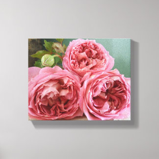 David Austin Heritage Englische Rose drucken Leinwanddruck
