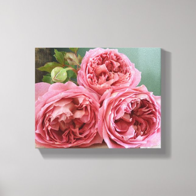 David Austin Heritage Englische Rose drucken Leinwanddruck (Vorderseite)