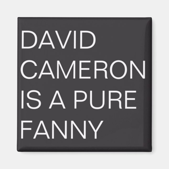 David Cameron Magnet (Vorne)