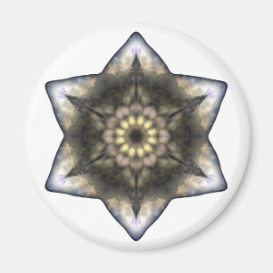 David Floral Star Magnet