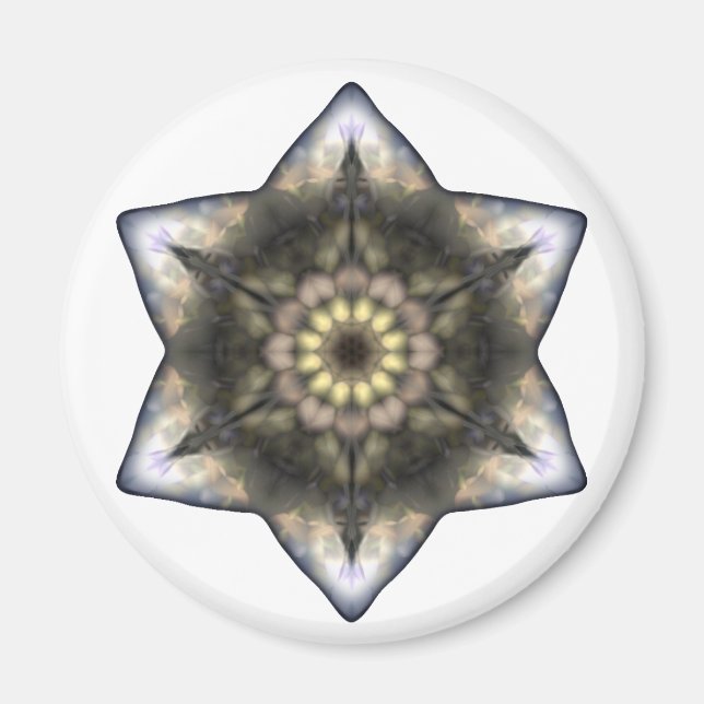 David Floral Star Magnet (Vorne)