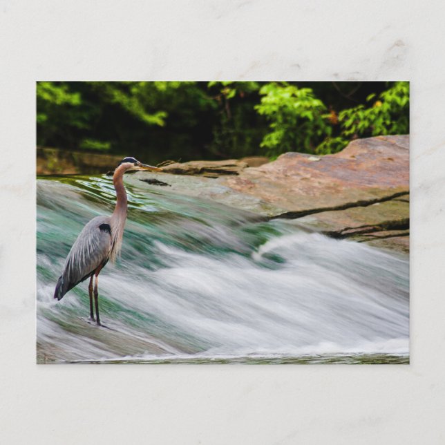 David Fortier River Park, Olmsted Falls, Ohio Postkarte (Vorderseite)