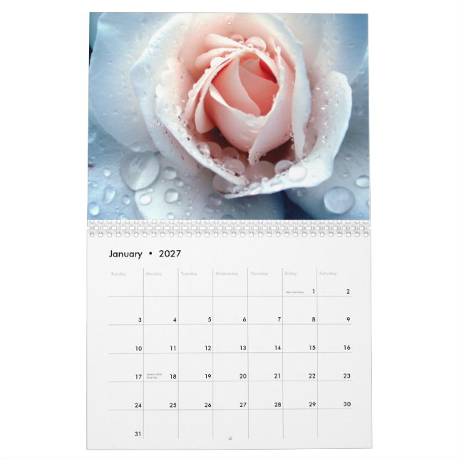 David Martin D.D.S. Calendar Kalender (Jan 2027)