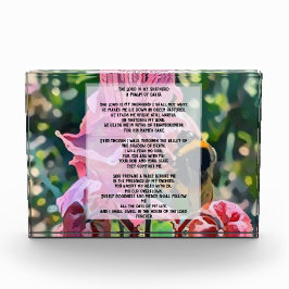 David Psalm 23 biblical quote Fotoblock