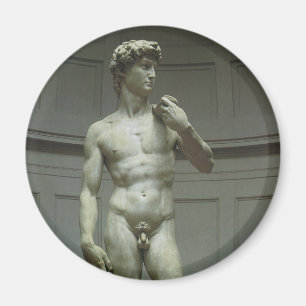 David-Statue von Michelangelo Magnet