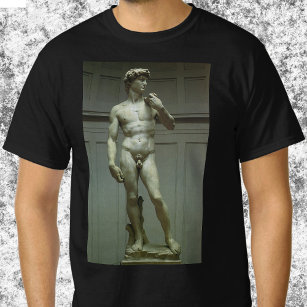 David-Statue von Michelangelo T-Shirt
