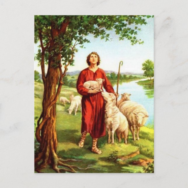 David The Shepherd Postkarte (Vorderseite)