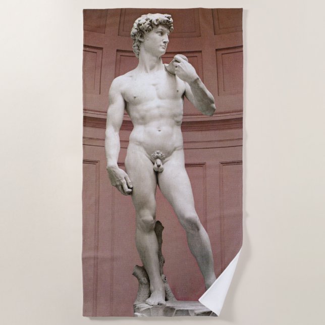 David von Michelangelo Strandtuch (Vorderseite)