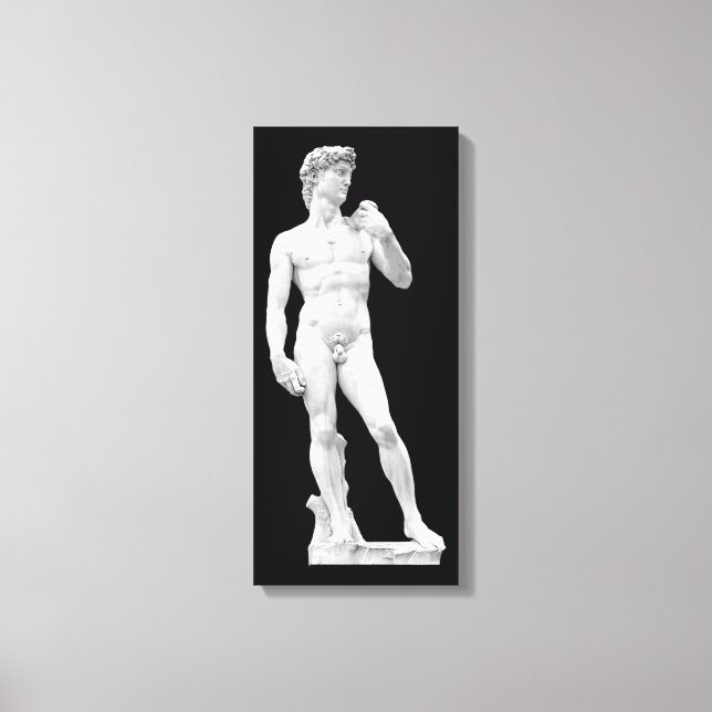 David von Michelangelo Wrapped Canvas Leinwanddruck (Vorderseite)
