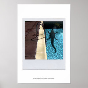 DAVIDS POOL-REIHE p08b Poster