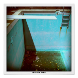 DAVIDS POOL-REIHE p09g- 3D Computer KUNST Plakat Poster