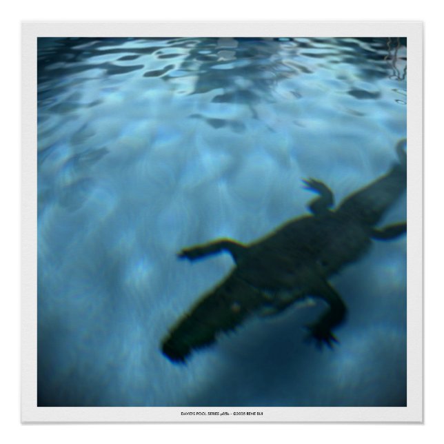 DAVID'S POOL SERIES p05b- 3D Computer ART Poster (Vorderseite)