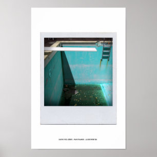 DAVID'S POOL SERIES p09g Poster