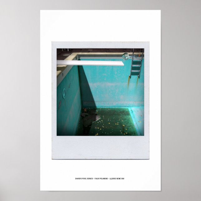 DAVID'S POOL SERIES p09g Poster (Vorne)