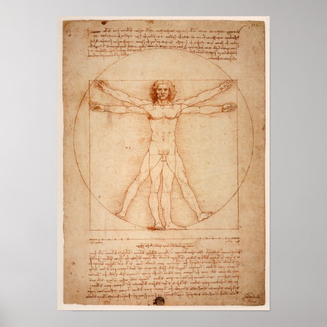 DaVinci Man Poster (Vorne)