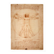 DaVinci Vitruvian Man Poster
