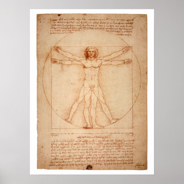 DaVinci Vitruvian Man Poster (Vorne)