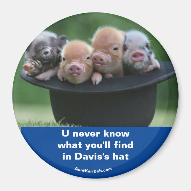 Davis-Hut Magnet (Vorne)