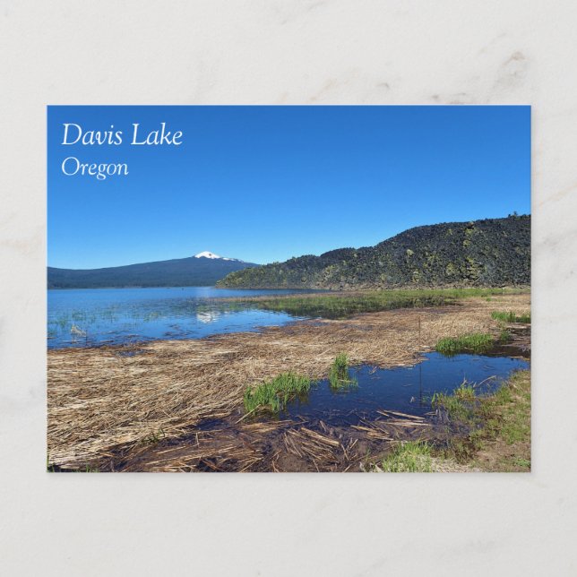 Davis Lake, OR Postkarte (Vorderseite)