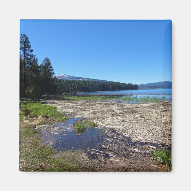Davis Lake, Oregon Magnet (Vorne)