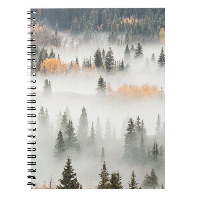 Dawn Ground Fog deckt Bergwald ab Notizblock (Vorderseite)