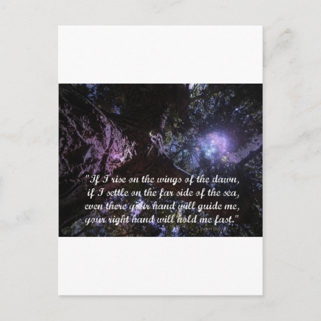 Dawn Rising Postkarte (Vorderseite)