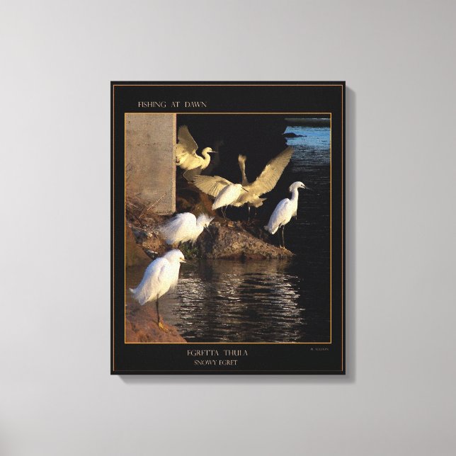 Dawn Snowy Egrets Wrapped Canvas Leinwanddruck (Vorderseite)