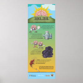 Dawn Trial Infographic Poster