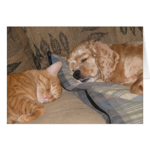 Dax und Möglichkeits-Anteil