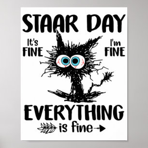 Day Black Cat Teacher Student Kids Staar Testing D Poster