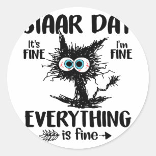 Day Black Cat Teacher Student Kids Staar Testing D Runder Aufkleber