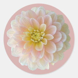 Day Dreamer Wasserlilie Dahlia Runder Aufkleber