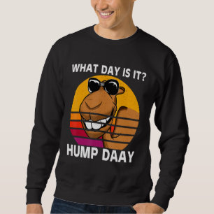 Day is It Camel Hump Day Hump Day Camel Sweatshirt