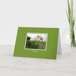 Day Lilies & Mailbox "Write" Karte