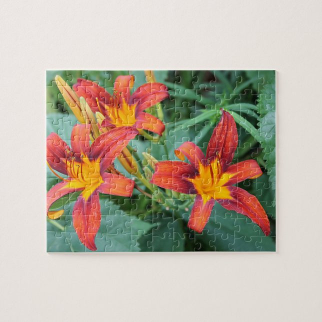 Day Lily Delight Puzzle (Horizontal)