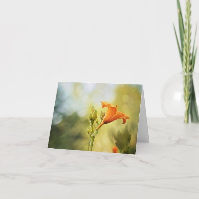 Day Lily Sunrise Note Card Karte (Vorderseite)