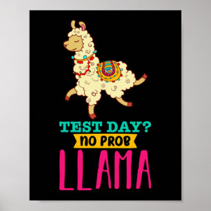 Day No Probllama T Shirt Llama Geschenkgutscheine Poster