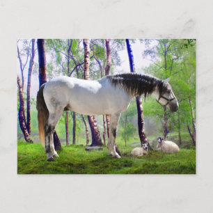 "Daybreak" Postkarte