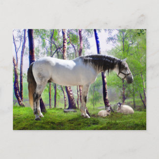 "Daybreak" Postkarte