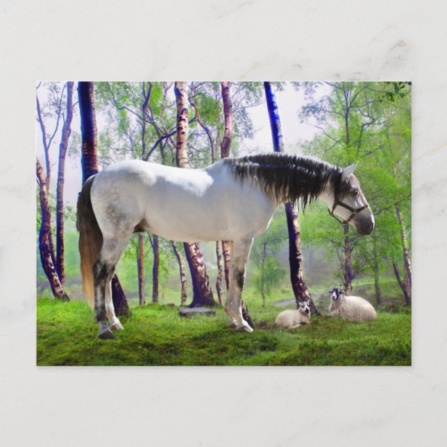 "Daybreak" Postkarte (Vorderseite)