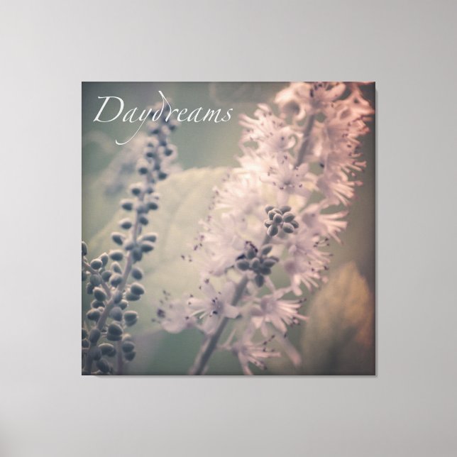 Daydreams Mountain Holly Leinwanddruck (Vorderseite)
