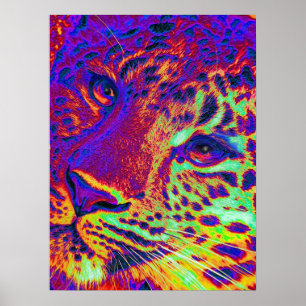dayglow Leopard Poster