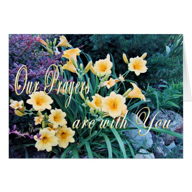 DayLilyPrayer Karte-fertigen besonders an (Vorderseite (Horizontal))