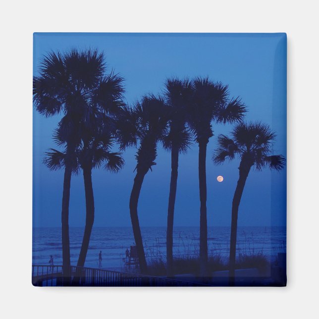Daytona Beach FL Tropical Palm Tree Moon Magnete (Vorne)