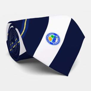 Daytona Beach (Florida) Stadtflagge Neck Tie Krawatte